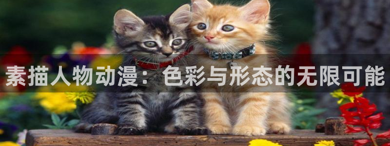 动漫天堂：素描人物动漫：色彩与形态的无限可能