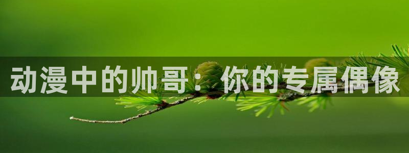 天堂动漫官网下载：动漫中的帅哥：你的专属偶像