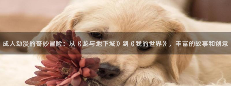 下载动漫天堂：成人动漫的奇妙冒险：从《龙与地下城》到《我的世界》，丰富的故事和创意