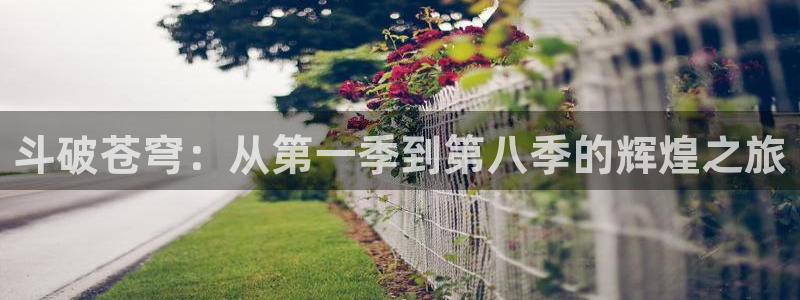 妹天堂动漫在线：斗破苍穹：从第一季到第八季的辉煌之旅