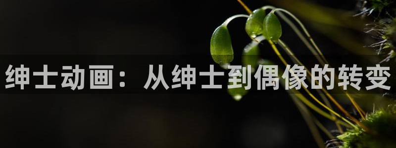 动漫天堂下载1.8版：绅士动画：从绅士到偶像的转变